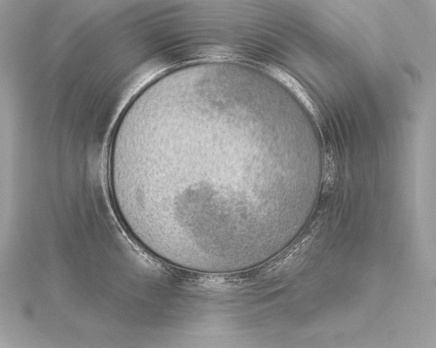 X0000115551098200911201755