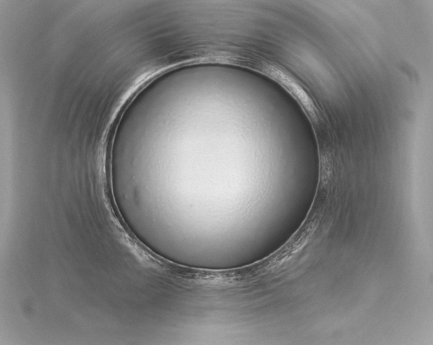 X0000115551099200911201755