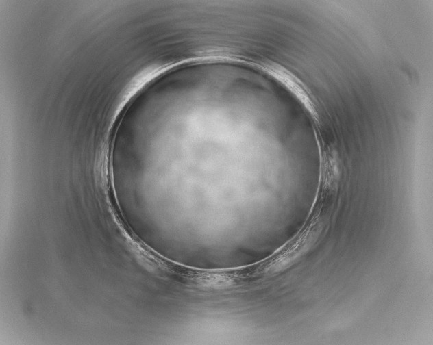 X0000115551101200911201755