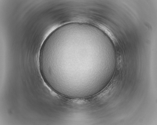 X0000115551103200911201755