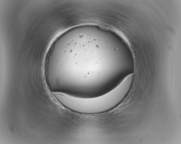 X0000115551104200911201755