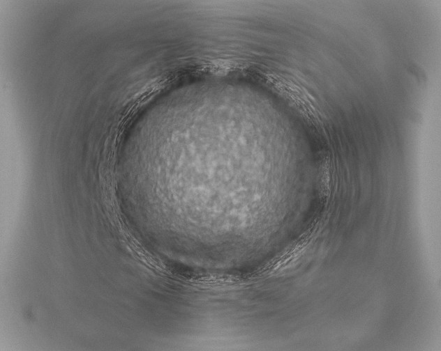 X0000115551105200911201755