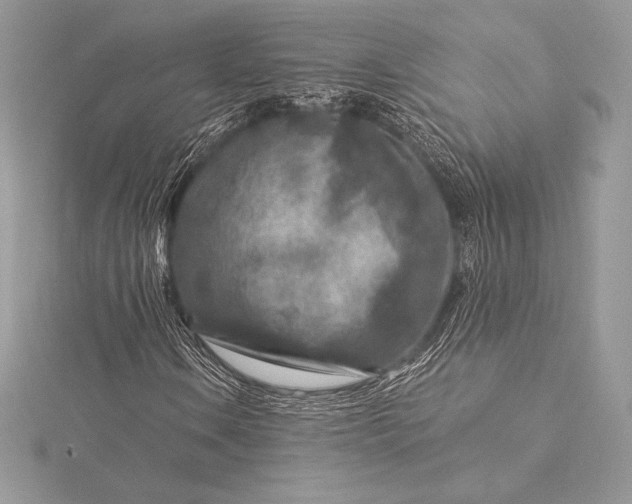 X0000115551106200911201755