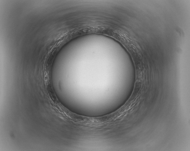 X0000115551109200911201755