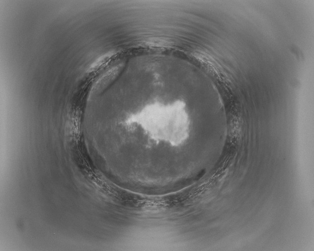 X0000115551110200911201755