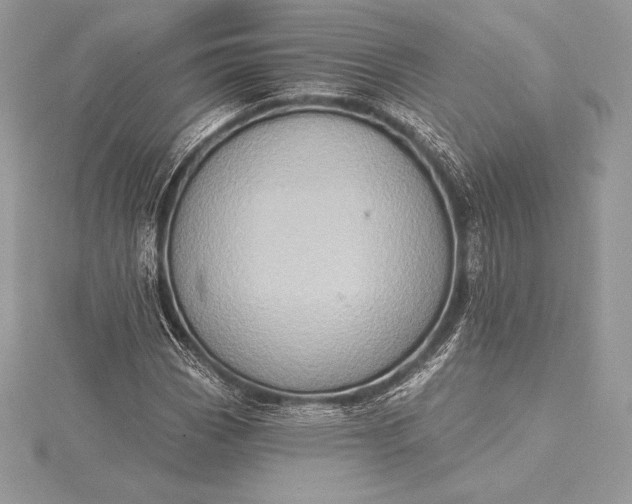 X0000115551113200911201755