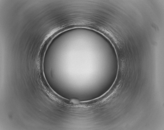 X0000115551114200911201755