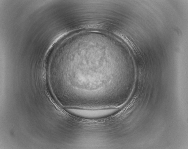 X0000115551115200911201755