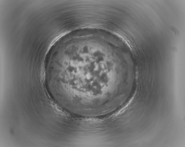 X0000115551117200911201755