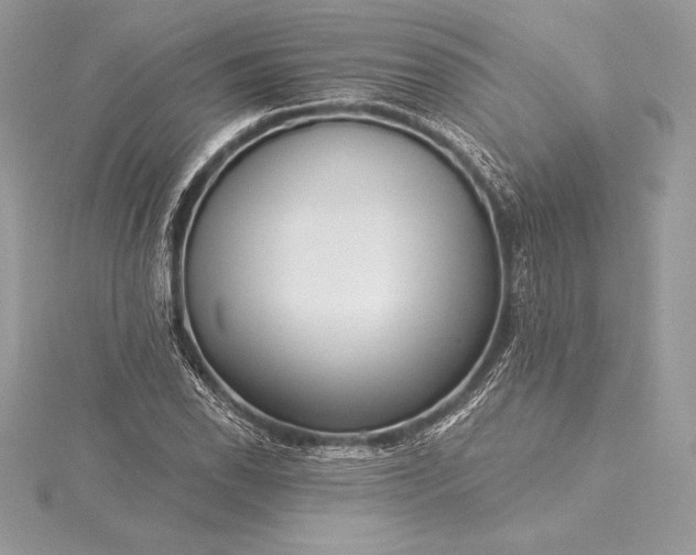 X0000115551118200911201755