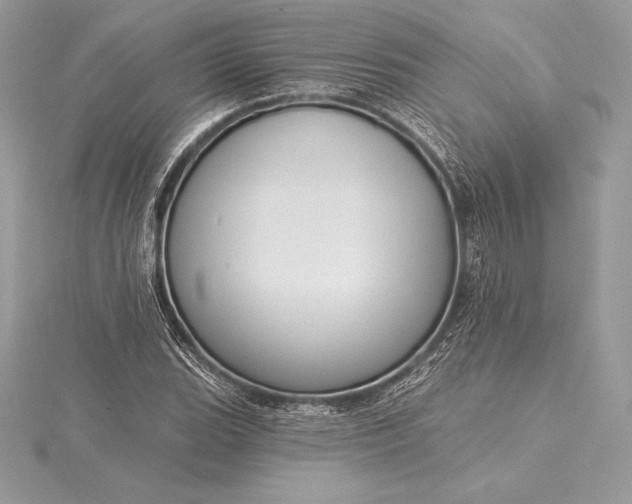 X0000115551119200911201755