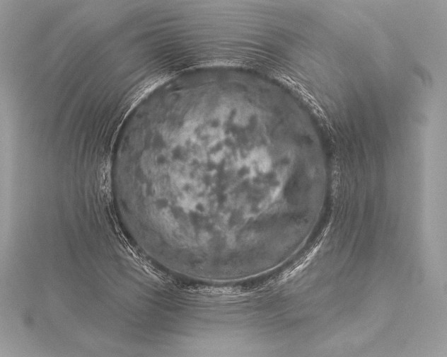 X0000115551121200911201755