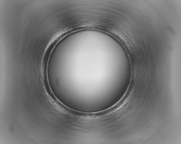 X0000115551122200911201755