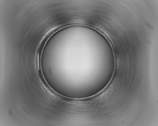 X0000115551123200911201755