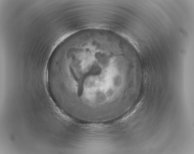 X0000115551125200911201755