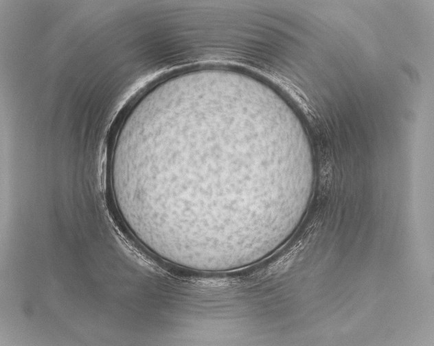 X0000115551126200911201755