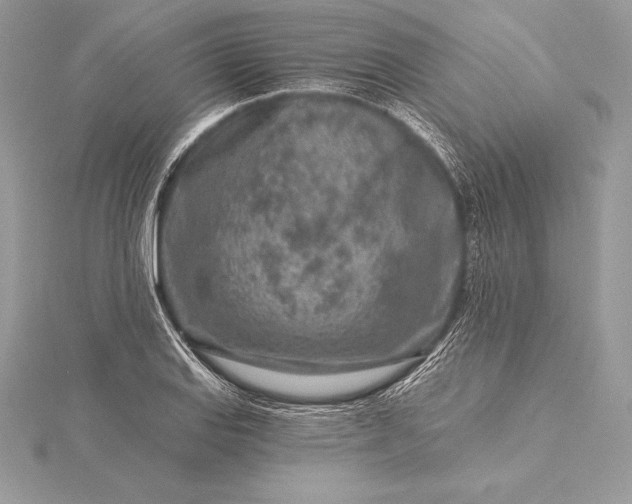 X0000115551127200911201755