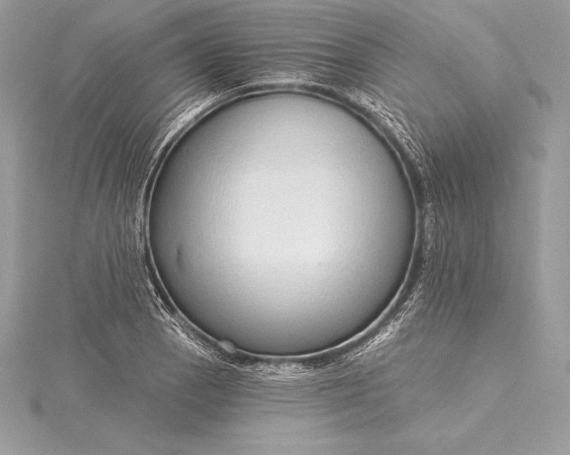 X0000115551129200911201755