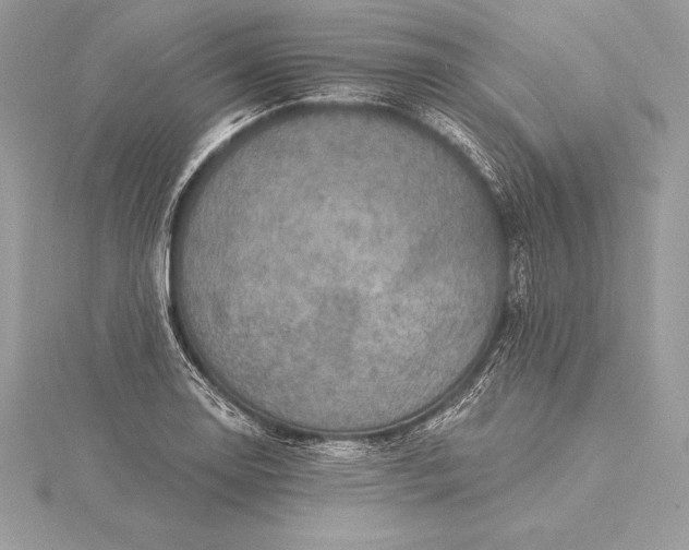 X0000115551130200911201755