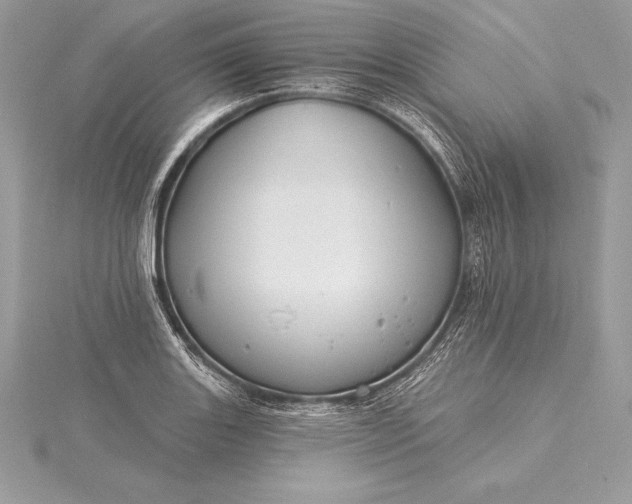 X0000115551131200911201755