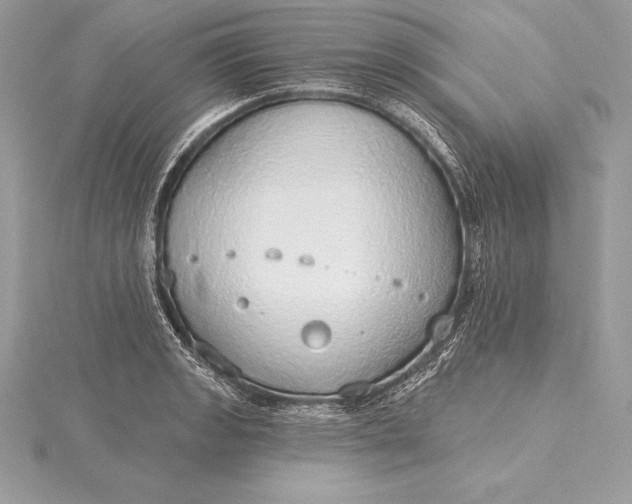 X0000115551133200911201755