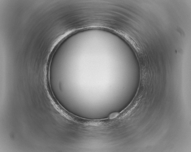 X0000115551134200911201755