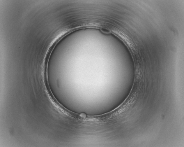 X0000115551135200911201755