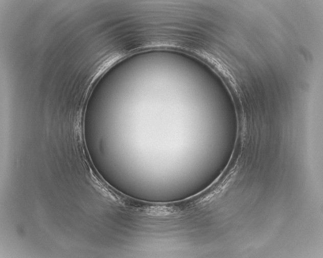 X0000115551137200911201755