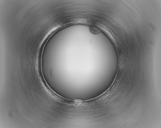 X0000115551139200911201755