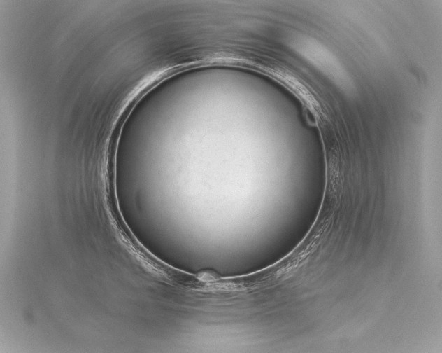 X0000115551142200911201755