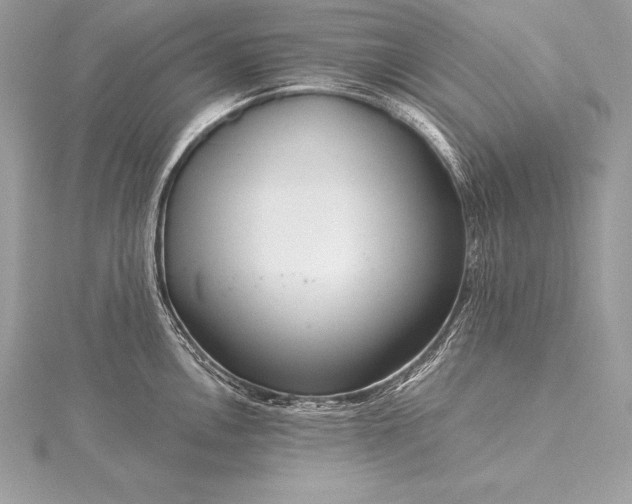 X0000115551146200911201755