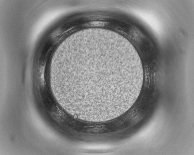 X0000115551150200911201755