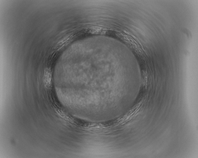 X0000115551154200911201755