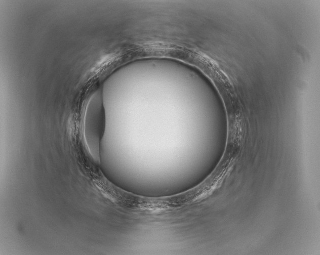 X0000115551157200911201754