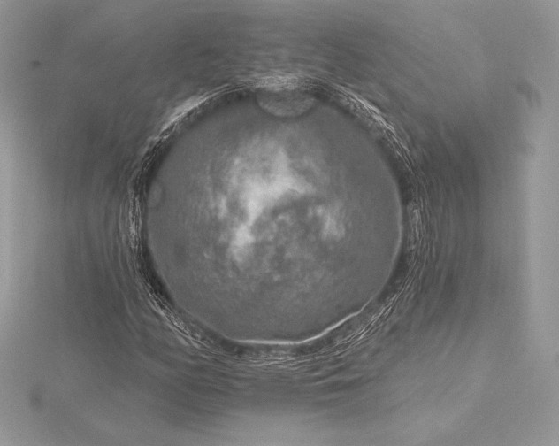 X0000115551158200911201754