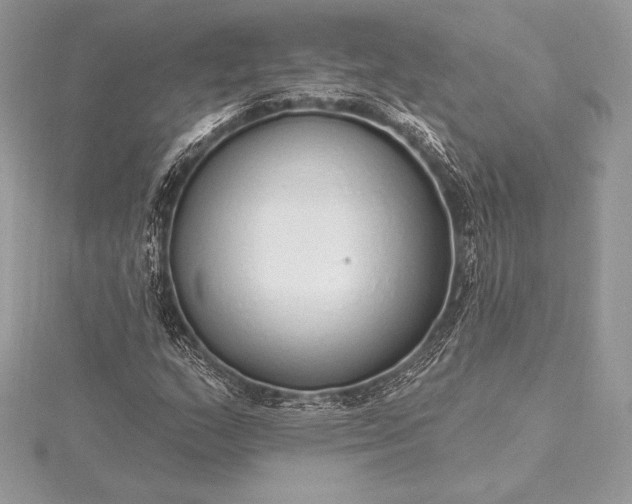 X0000115551159200911201754