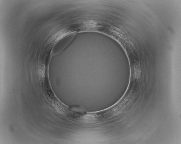 X0000115551161200911201754