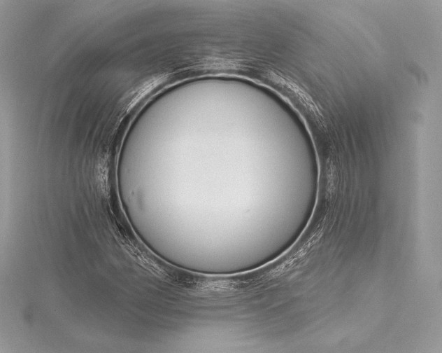 X0000115551162200911201754