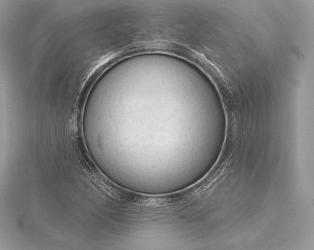 X0000115551166200911201754