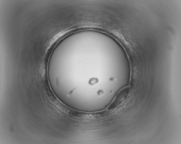 X0000115551167200911201754