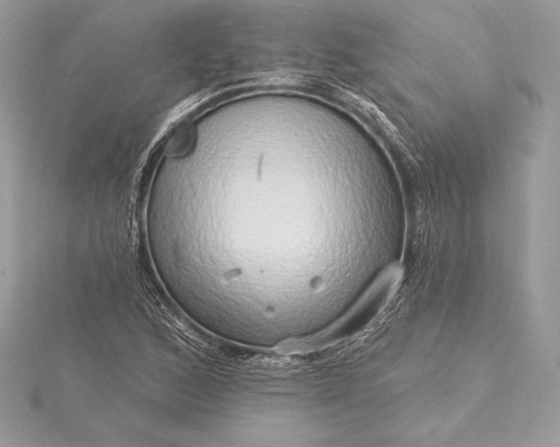 X0000115551168200911201754