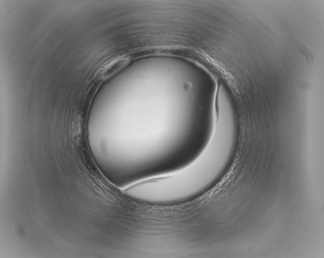 X0000115551169200911201754