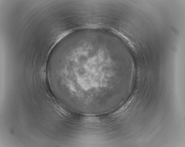 X0000115551170200911201754