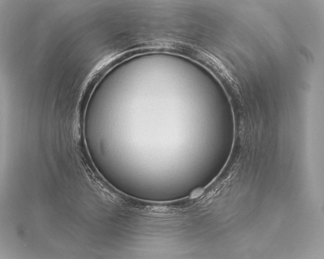 X0000115551172200911201754