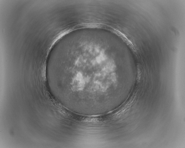 X0000115551174200911201754