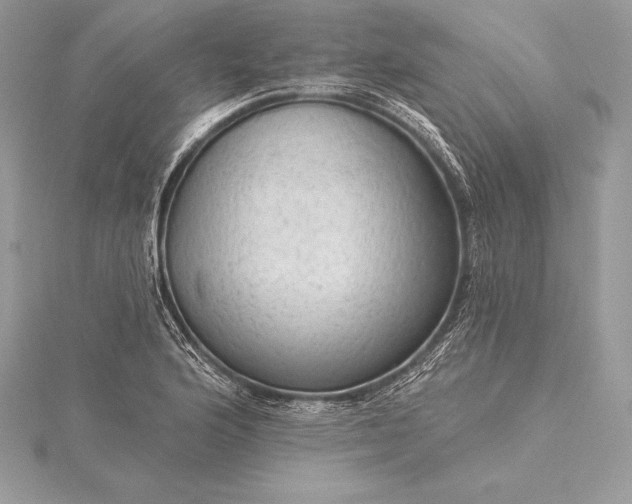 X0000115551176200911201754