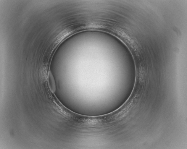 X0000115551177200911201754