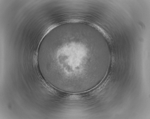 X0000115551178200911201754