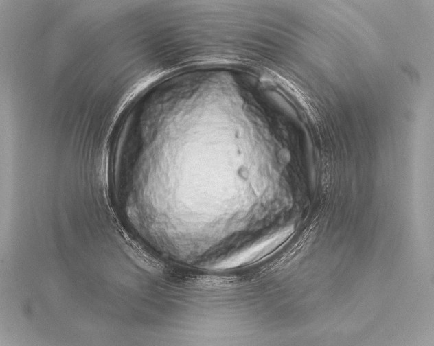 X0000115551179200911201754