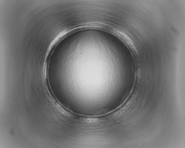 X0000115551180200911201754